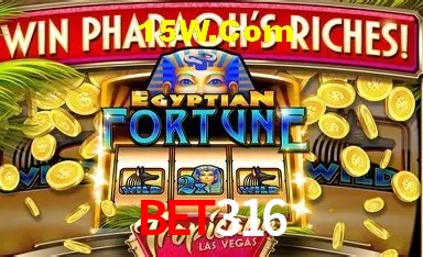 Provedores de Jogos bet316